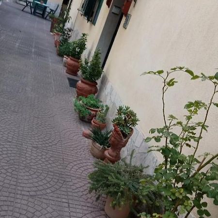 Casa Diana Daire Roma Dış mekan fotoğraf